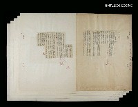 藏品(少女)的圖片