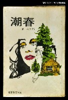 藏品(春潮)的圖片