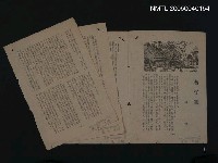 藏品(蕃仔雞 （拆頁）)的圖片