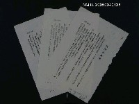 藏品(我的小先生)的圖片