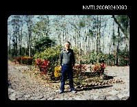 藏品(曾在栽植)的圖片