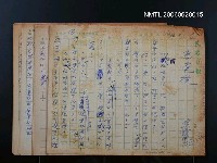 藏品(烏龜族)的圖片