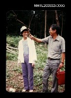 藏品(山中)的圖片