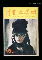 藏品(明道文藝12期)的圖片