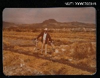 藏品(詹澈1983卑南溪西瓜園)的圖片