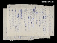 藏品(黑夜的太陽)的圖片