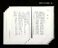 藏品(「奔雨」等篇剪輯：奔雨、鳥族／鳥伴)的圖片