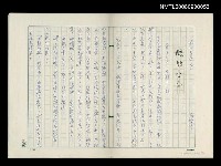 藏品(醜陋公公)的圖片