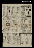 藏品(小匹哥)的圖片