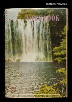 藏品(台灣七色記報紙連載)的圖片