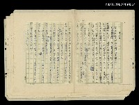 館藏編號:NMTL20070160004的藏品圖