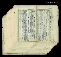 藏品(吉普賽)的圖片