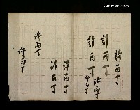 藏品(許丙丁簽名稿)的圖片