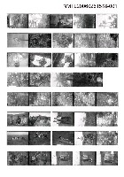 藏品(蕭白底片1)的圖片