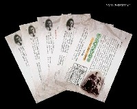 藏品(何凡的求學歲月－1924~1934)的圖片