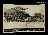 藏品(照片)的圖片