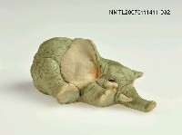 藏品(象偶)的圖片