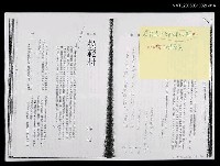 藏品(模範村（文季版校訂稿）)的圖片