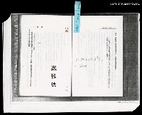 藏品(送報伕 (大行版影本發打稿 ))的圖片