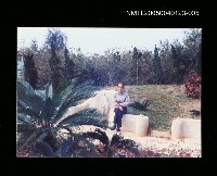 藏品(楊逵攝於郊外)的圖片