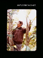 藏品(楊逵相關照片 5)的圖片