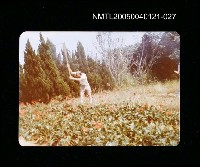 藏品(楊逵相關照片 27)的圖片