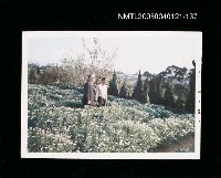 藏品(楊逵相關照片 137)的圖片