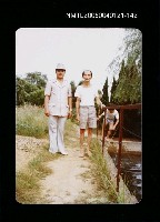 藏品(楊逵相關照片 142)的圖片