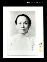 藏品(葉陶獨照)的圖片