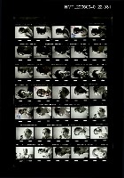 藏品(楊逵獨照特輯)的圖片