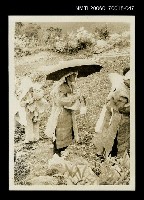 藏品(吳瀛濤葬禮47)的圖片