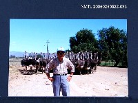 藏品(林宗源與鴕鳥合照)的圖片