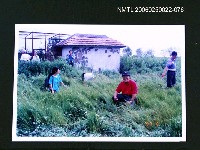 藏品(林宗源攝於草地中)的圖片