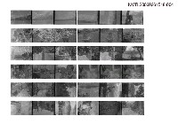 藏品(蕭白底片4)的圖片