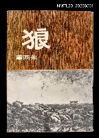 藏品(狼)的圖片