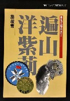 藏品(遍山洋紫荊)的圖片