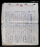 藏品(兩隻老虎(複寫稿))的圖片