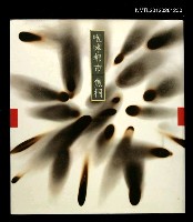 藏品(咆哮都市)的圖片