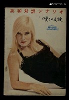 藏品(英和対訳シナリオ　N0.12　嘆きの天使)的圖片