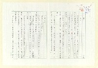 藏品(飛人)的圖片