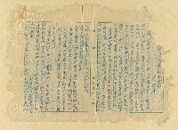 藏品(…會與斷髮不改裝運動（複寫本）)的圖片