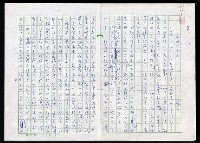 藏品(永恆的面紗)的圖片