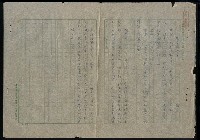 藏品(懸垂的風箏)的圖片