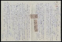 藏品(立法院現代文學館公聽會發言稿)的圖片
