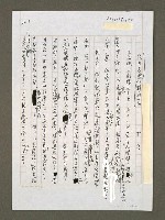 藏品(「精采」的民主表演)的圖片
