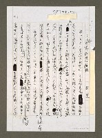 藏品(人民的行動 政府的遲鈍)的圖片