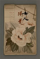 藏品(女人)的圖片