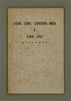 藏品(SÈNG-LÊNG CHHIONG-MÓA Ê TIÂU-KIĀⁿ)的圖片