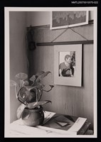 藏品(向明書房桌面的盆栽與相片)的圖片