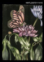 藏品(林海音的畫作)的圖片